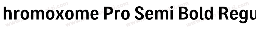 hromoxome Pro Semi Bold Regular字体转换